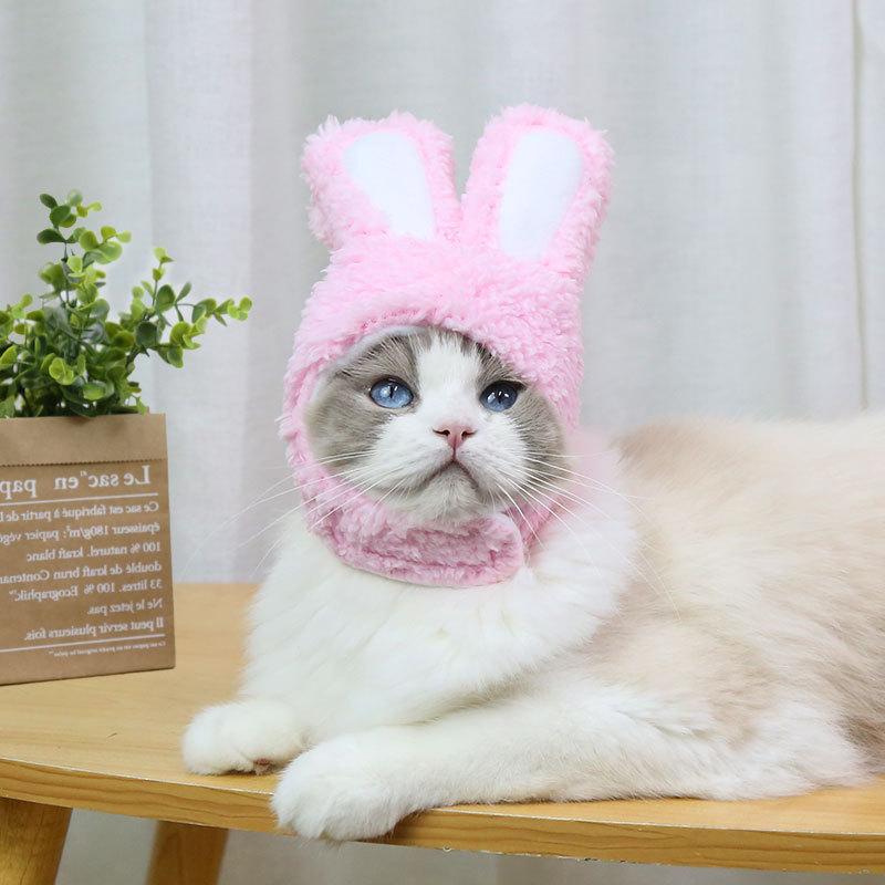 RabbitHat™ - Accessoire de déguisement pour chat - Royaume felins